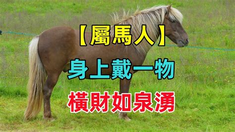 屬馬佩戴飾物2023|屬馬的人適合帶什麼吉祥物，有哪些佩戴禁忌？